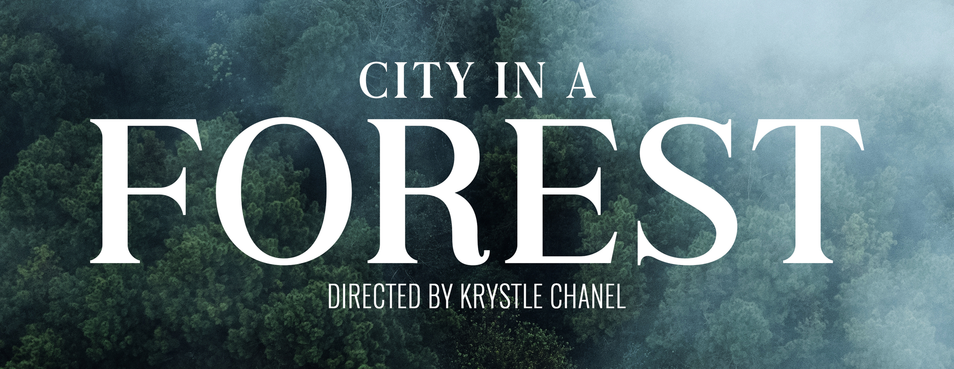 City In A Forest - Florida Climate Week Screening & Panel